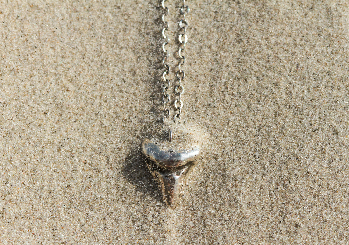 Shark Tooth Pendant Necklace