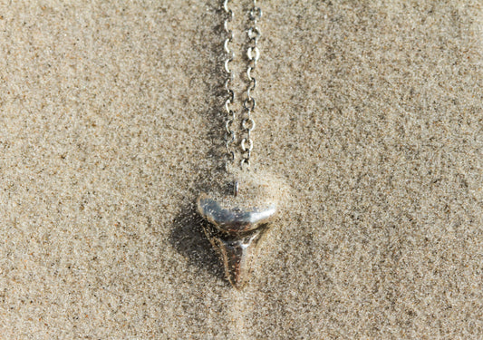 Shark Tooth Pendant Necklace
