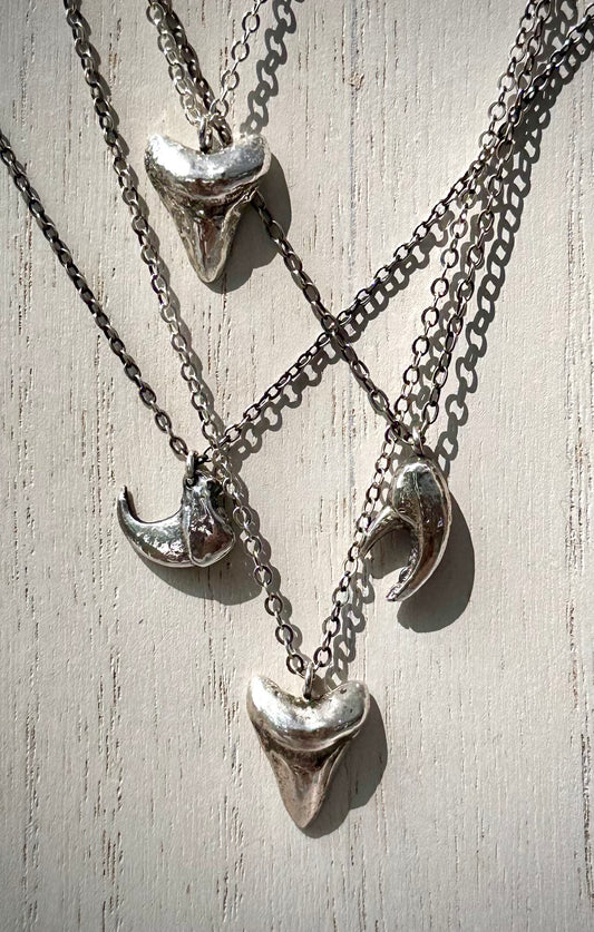 Shark Tooth Pendant Necklace